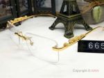 Fashion Cartier Eyeglasses Leopard Frame - AAA Grade Replica